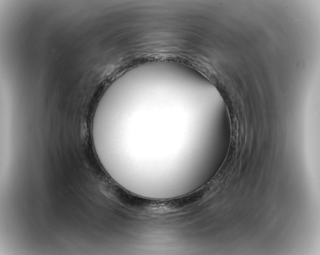 X0000086930704200704301117