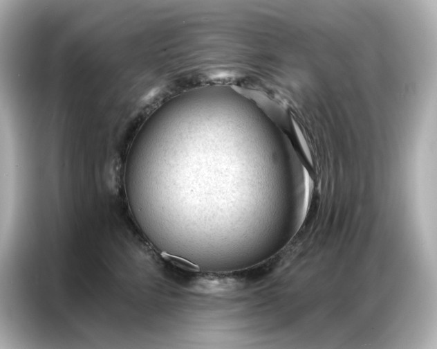 X0000086930712200704301117