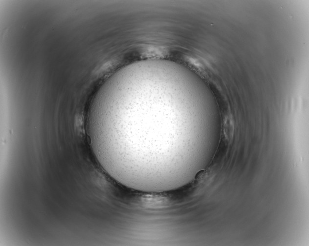 X0000086930714200704301117