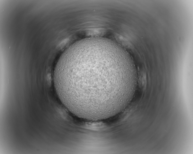 X0000086930716200704301117