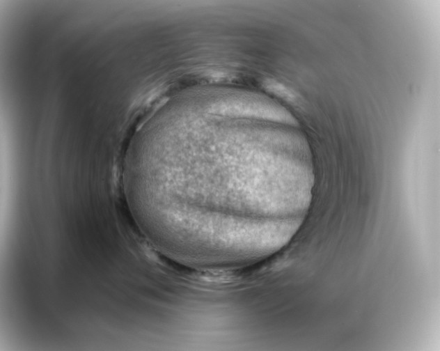 X0000086930720200704301117