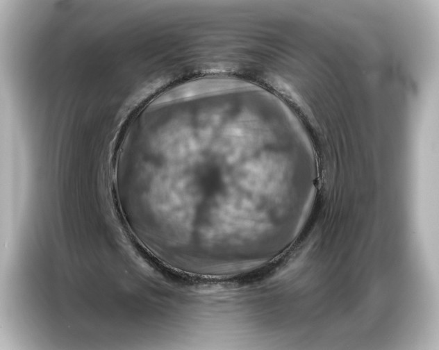 X0000086930721200704301116