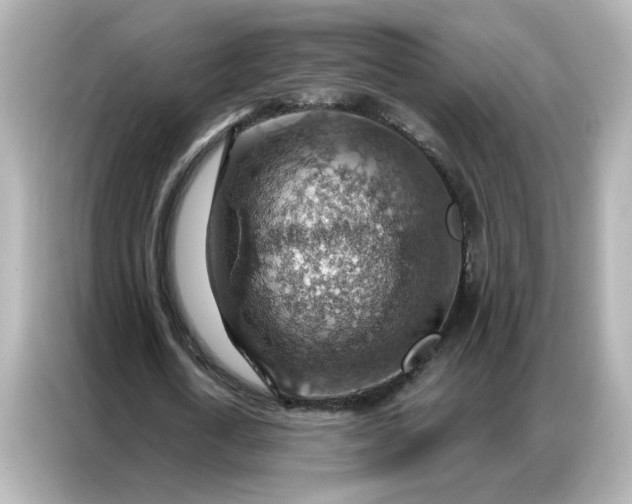 X0000086930722200704301116