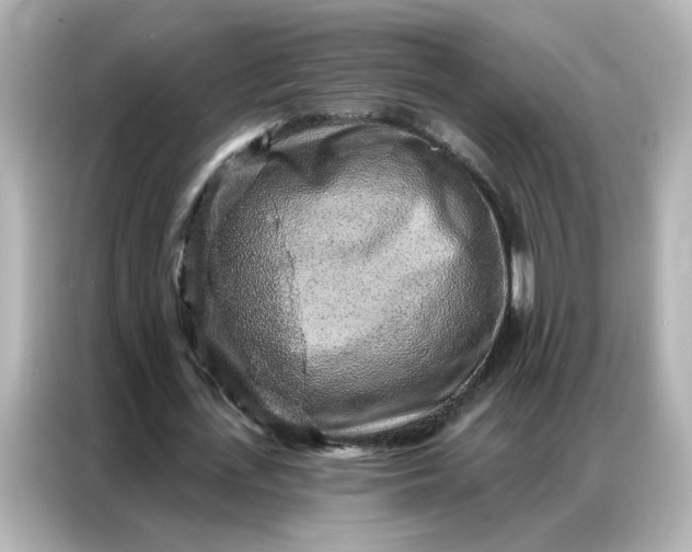 X0000086930723200704301116