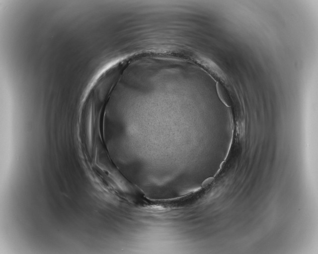 X0000086930724200704301116