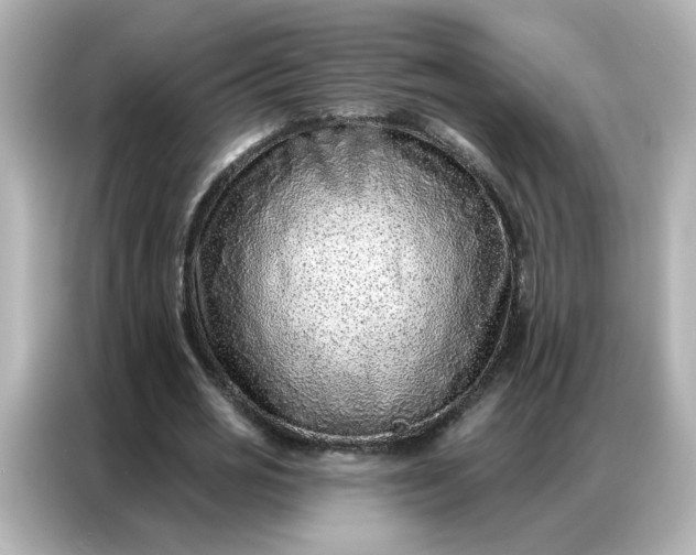 X0000086930725200704301116