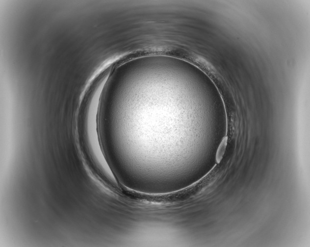 X0000086930726200704301116