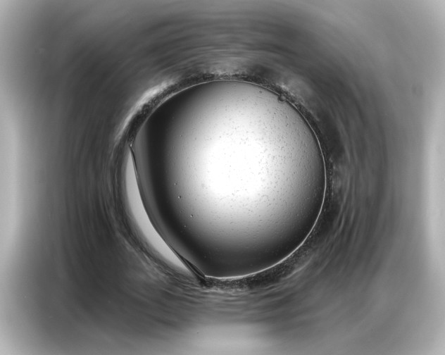 X0000086930727200704301116