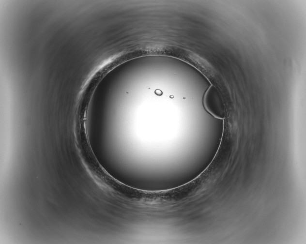 X0000086930728200704301116