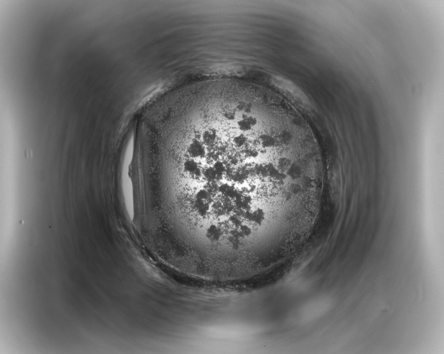 X0000086930729200704301116