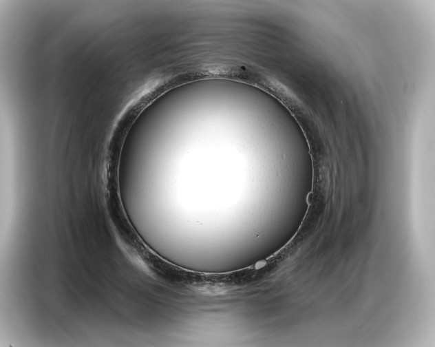 X0000086930730200704301116