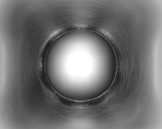 X0000086930731200704301116