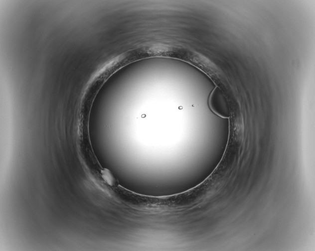 X0000086930732200704301116