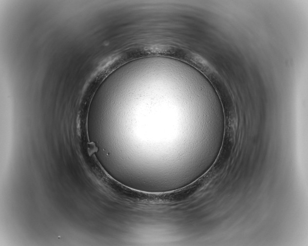 X0000086930734200704301116