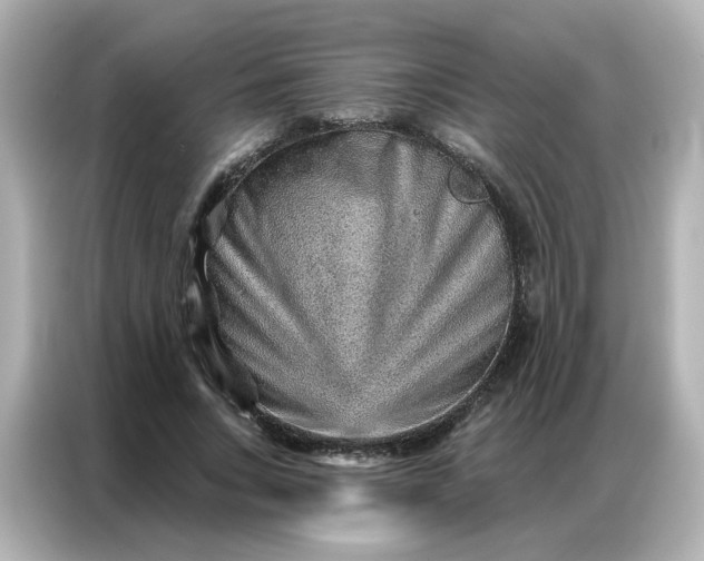 X0000086930735200704301116