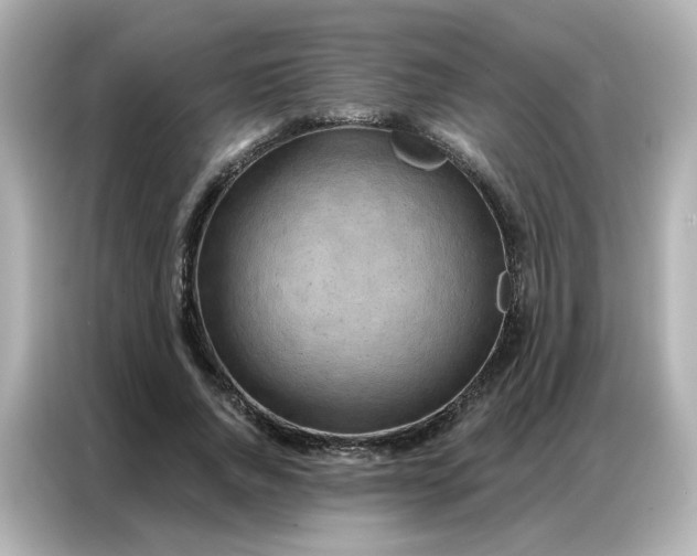 X0000086930736200704301116