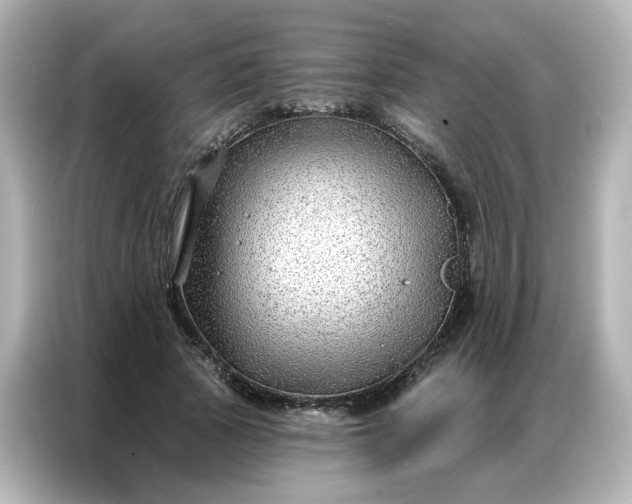 X0000086930737200704301116