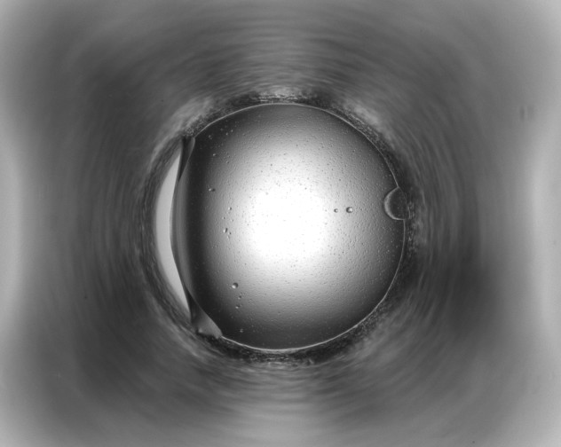 X0000086930738200704301117