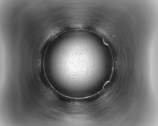 X0000086930739200704301117