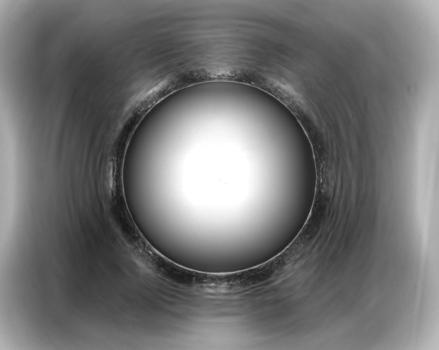 X0000086930740200704301117