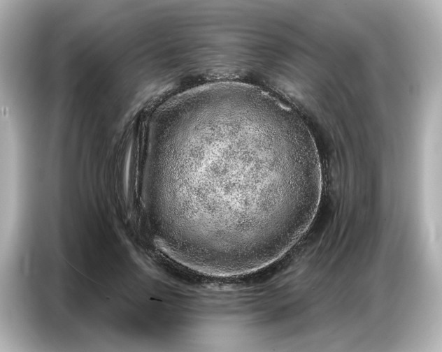 X0000086930742200704301117