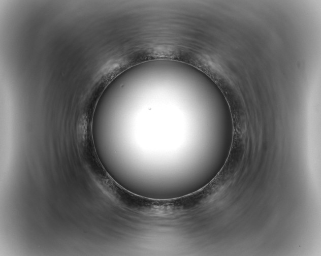 X0000086930744200704301117