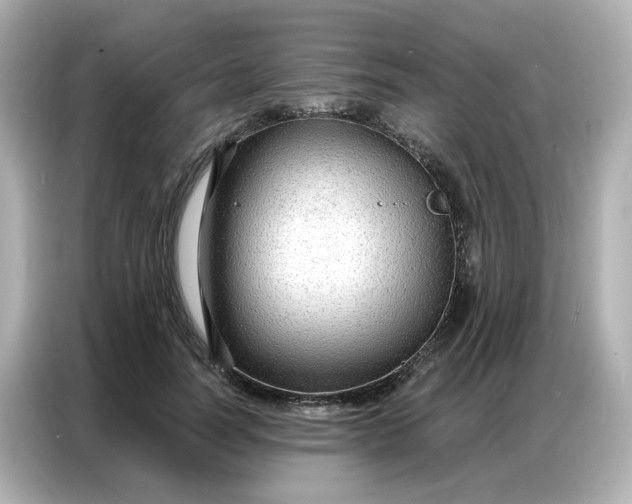 X0000086930746200704301117