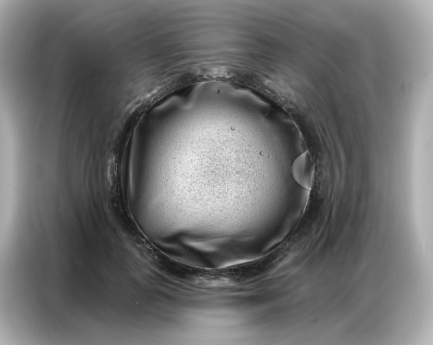 X0000086930747200704301117