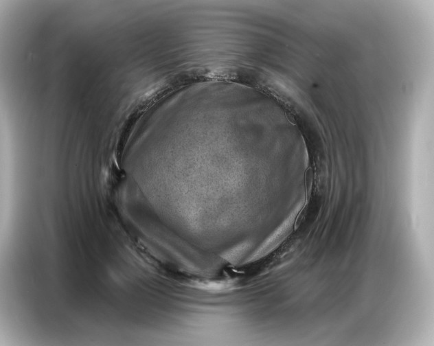 X0000086930748200704301117