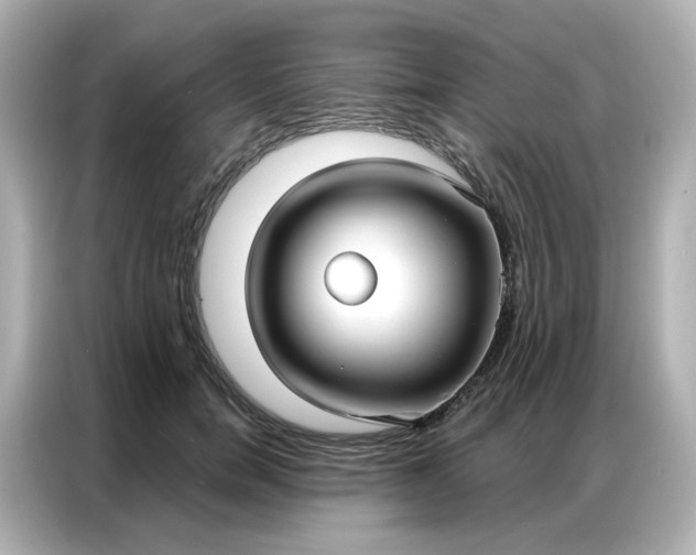 X0000086930750200704301117