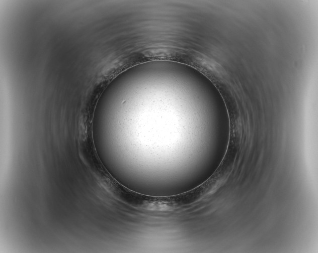 X0000086930751200704301117