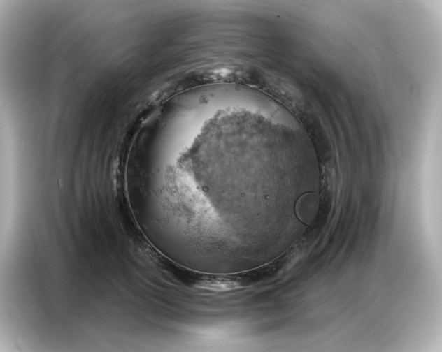 X0000086930754200704301117