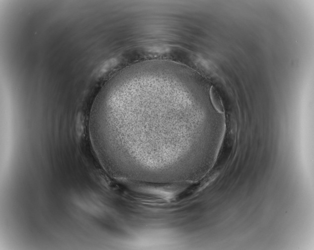 X0000086930758200704301117