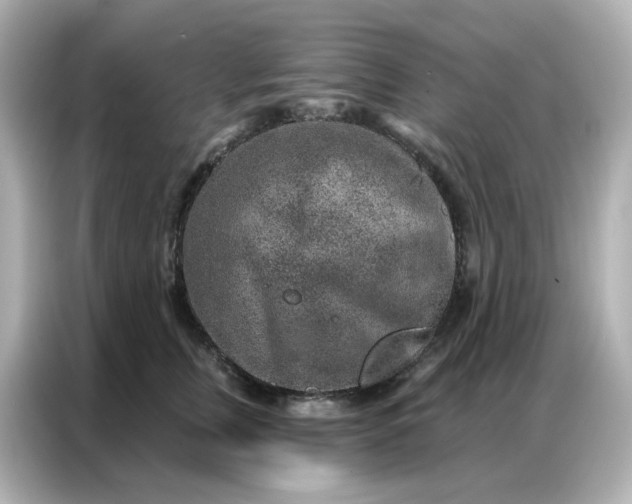 X0000086930759200704301117