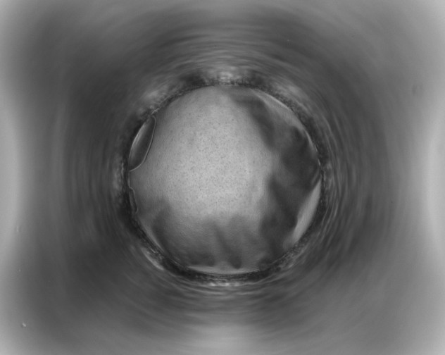 X0000086930760200704301117