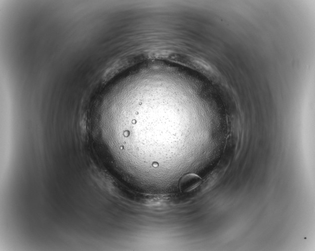 X0000086930761200704301117