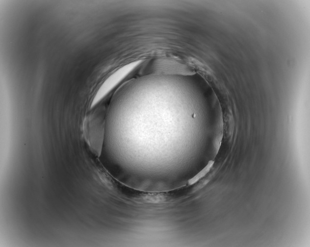 X0000086930762200704301117