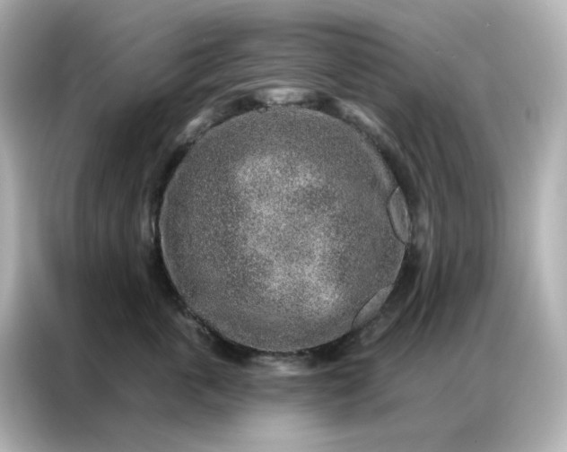 X0000086930763200704301117