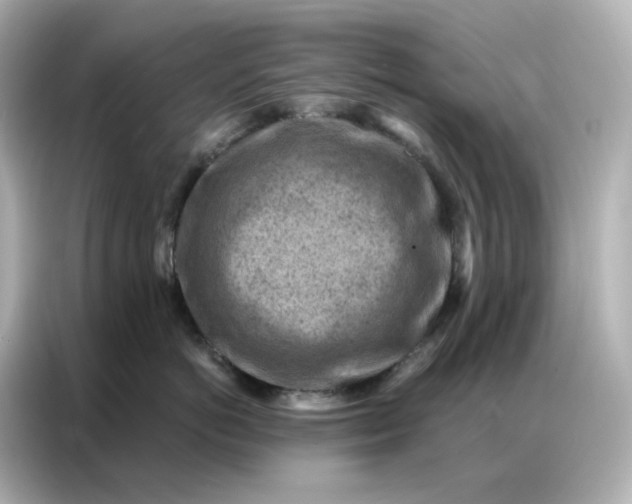 X0000086930766200704301117