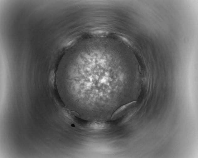 X0000086930767200704301117