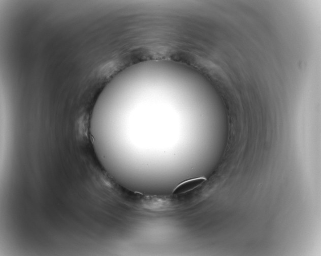 X0000086930768200704301117