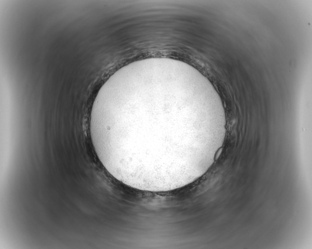 X0000086930772200704301116