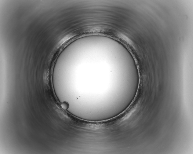 X0000086930778200704301116