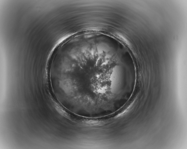 X0000086930779200704301116