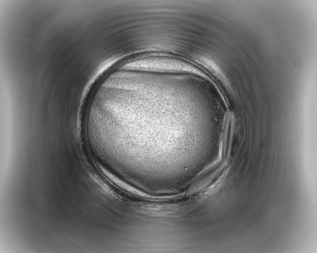 X0000086930780200704301116