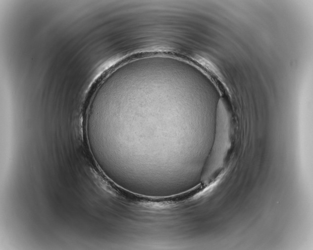 X0000086930781200704301116