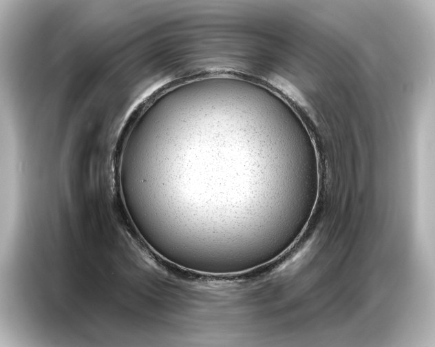 X0000086930782200704301116