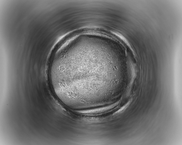 X0000086930783200704301116