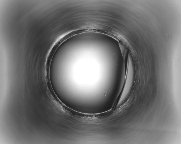 X0000086930784200704301116