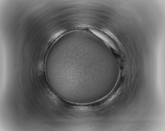 X0000086930785200704301116